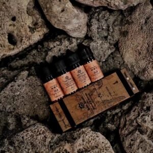 皇家騎士 皇家騎士 小油 der ilia 一次性 拋棄式 主機 加熱煙