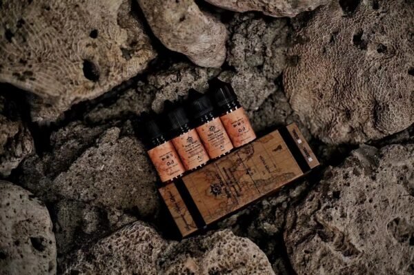 皇家騎士 皇家騎士 小油 der ilia 一次性 拋棄式 主機 加熱煙