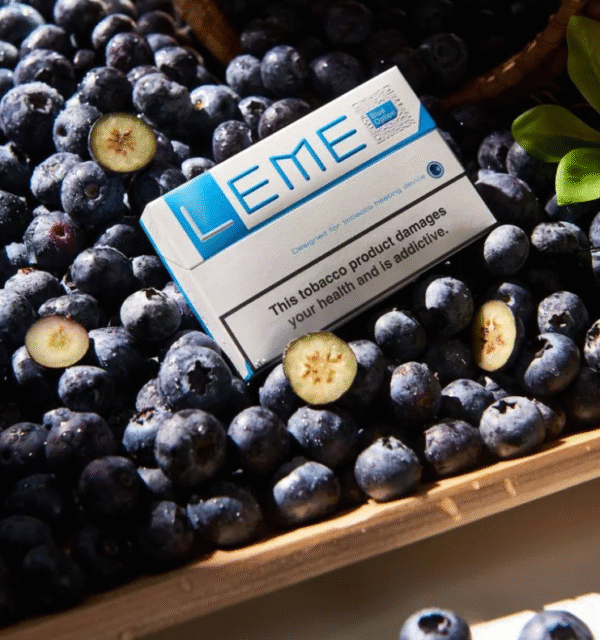 螢幕擷取畫面 2025-08-07 122809 樂美美版 樂美 t牌 leme 菸彈 加熱煙 主機 拋棄式 一次性